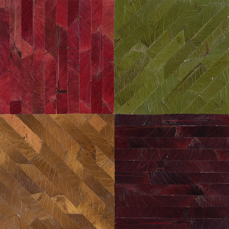 Color Bands in Four Directions, No. 2 (Apologies to Sol Lewitt)